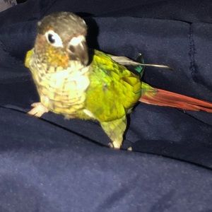 Meet your Posher, Michmichelle